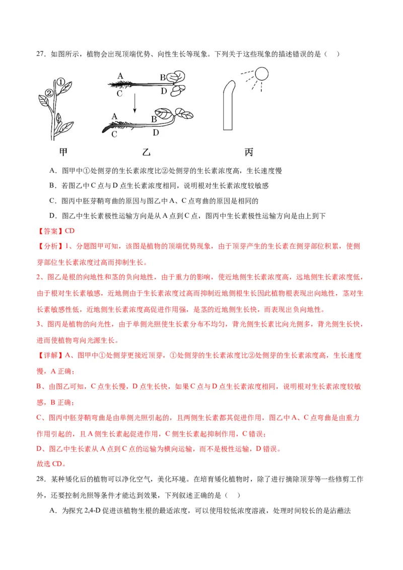 专题32植物生命活动调节（解析版)_2024年新高考资料_3.2024专项复习_备战2024年高考生物一轮复习重难点专项突破_专题32植物生命活动调节-备战2024年高考生物一轮复习重难点专项突破