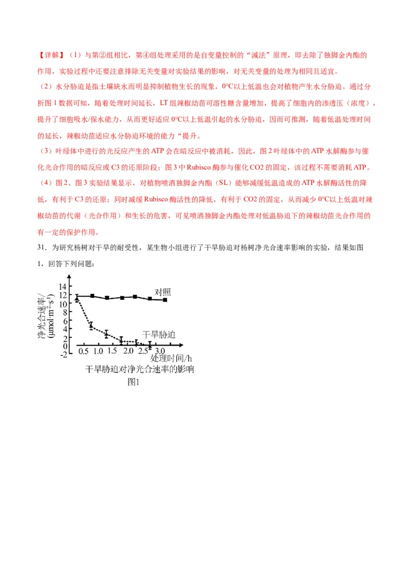 专题32植物生命活动调节（解析版)_2024年新高考资料_3.2024专项复习_备战2024年高考生物一轮复习重难点专项突破_专题32植物生命活动调节-备战2024年高考生物一轮复习重难点专项突破