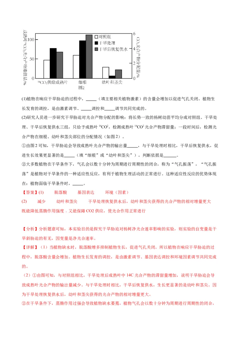 专题32植物生命活动调节（解析版)_2024年新高考资料_3.2024专项复习_备战2024年高考生物一轮复习重难点专项突破_专题32植物生命活动调节-备战2024年高考生物一轮复习重难点专项突破