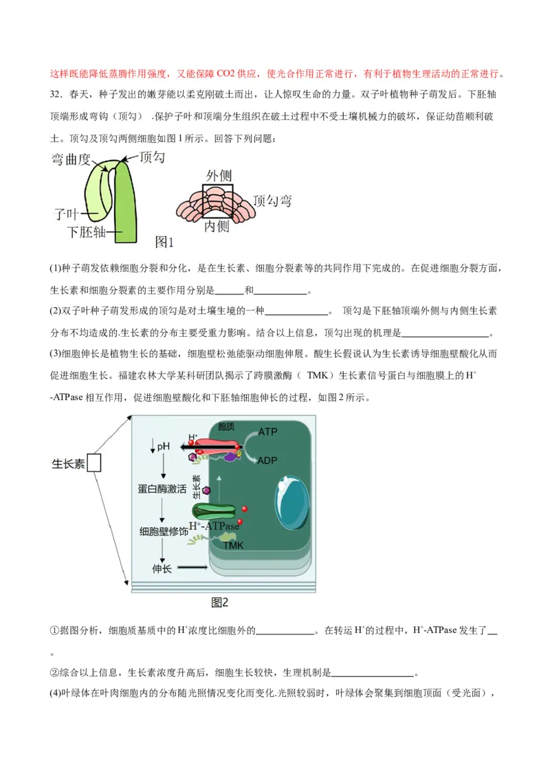 专题32植物生命活动调节（解析版)_2024年新高考资料_3.2024专项复习_备战2024年高考生物一轮复习重难点专项突破_专题32植物生命活动调节-备战2024年高考生物一轮复习重难点专项突破
