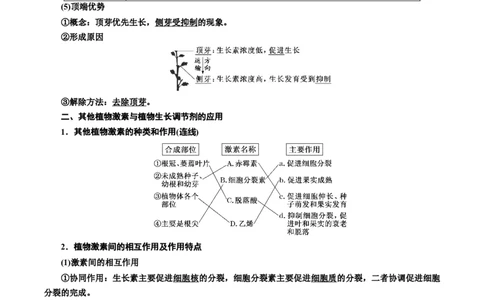 专题32植物生命活动调节（解析版)_2024年新高考资料_3.2024专项复习_备战2024年高考生物一轮复习重难点专项突破_专题32植物生命活动调节-备战2024年高考生物一轮复习重难点专项突破