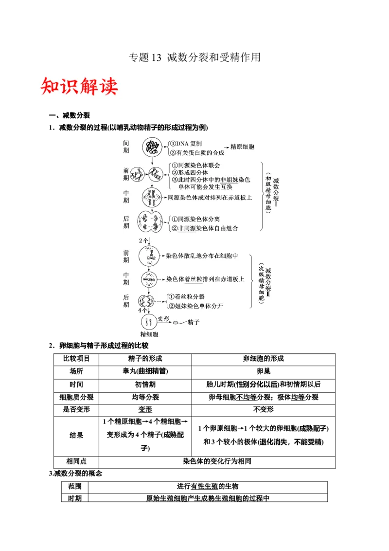 专题13减数分裂和受精作用（解析版)_2024年新高考资料_3.2024专项复习_备战2024年高考生物一轮复习重难点专项突破_专题13减数分裂和受精作用