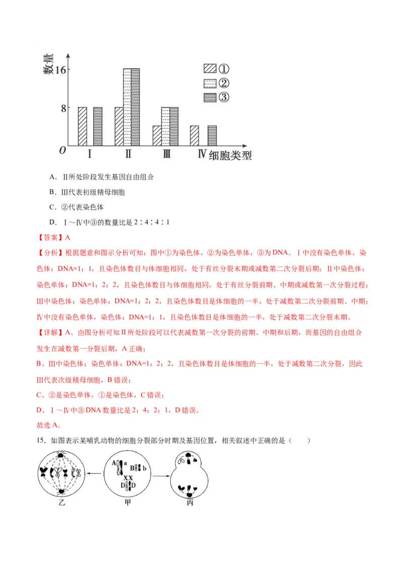 专题13减数分裂和受精作用（解析版)_2024年新高考资料_3.2024专项复习_备战2024年高考生物一轮复习重难点专项突破_专题13减数分裂和受精作用
