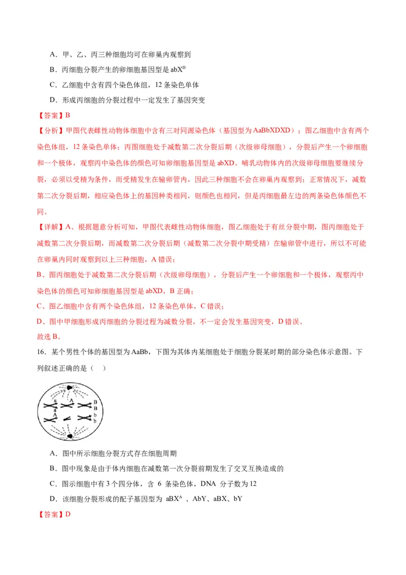 专题13减数分裂和受精作用（解析版)_2024年新高考资料_3.2024专项复习_备战2024年高考生物一轮复习重难点专项突破_专题13减数分裂和受精作用