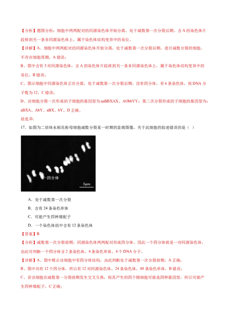 专题13减数分裂和受精作用（解析版)_2024年新高考资料_3.2024专项复习_备战2024年高考生物一轮复习重难点专项突破_专题13减数分裂和受精作用