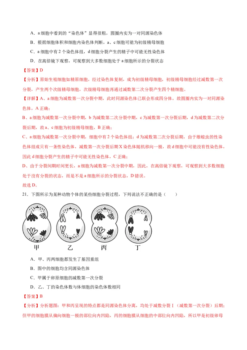 专题13减数分裂和受精作用（解析版)_2024年新高考资料_3.2024专项复习_备战2024年高考生物一轮复习重难点专项突破_专题13减数分裂和受精作用