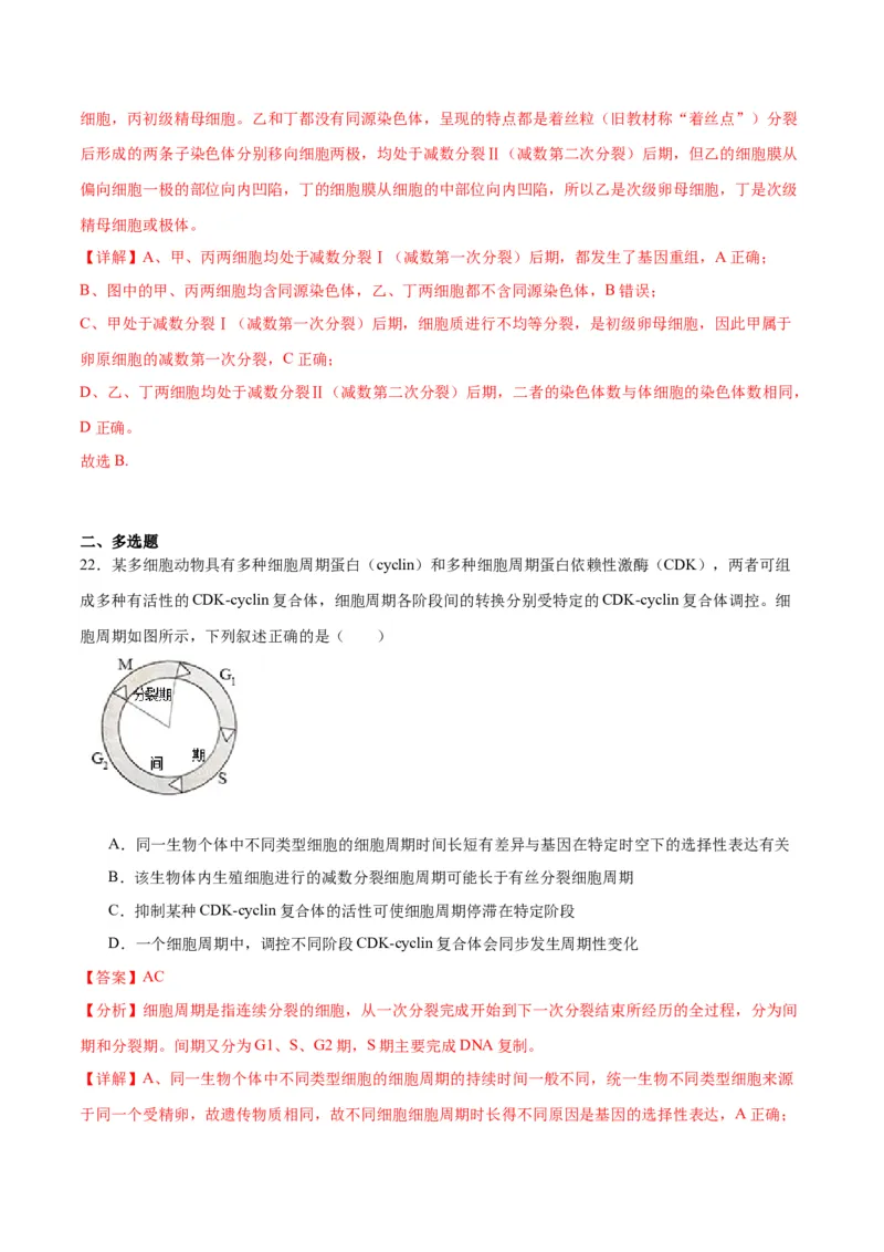专题13减数分裂和受精作用（解析版)_2024年新高考资料_3.2024专项复习_备战2024年高考生物一轮复习重难点专项突破_专题13减数分裂和受精作用