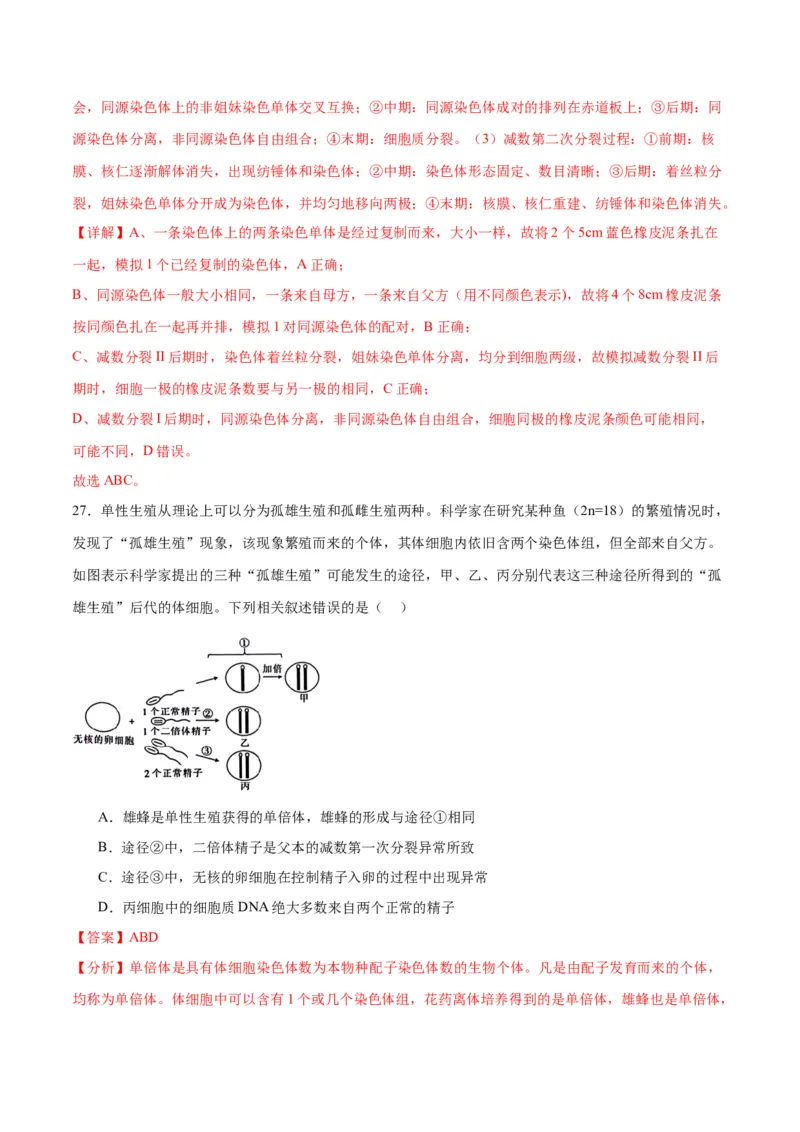 专题13减数分裂和受精作用（解析版)_2024年新高考资料_3.2024专项复习_备战2024年高考生物一轮复习重难点专项突破_专题13减数分裂和受精作用