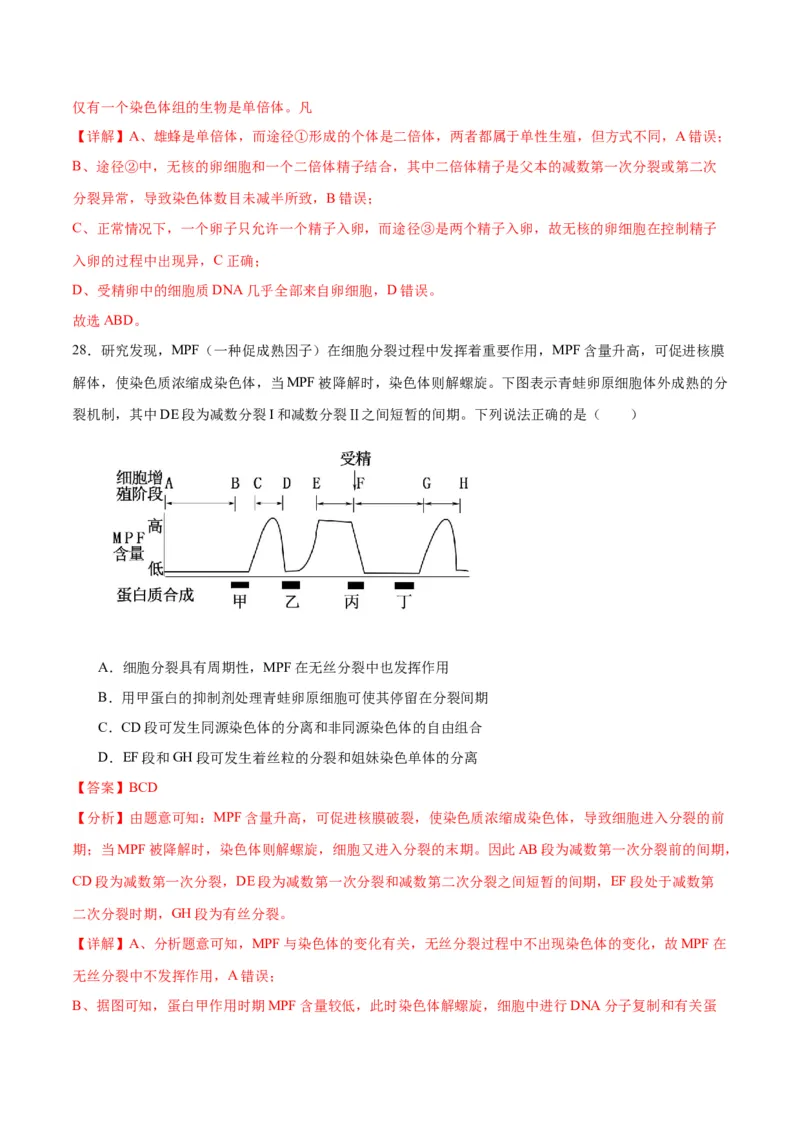 专题13减数分裂和受精作用（解析版)_2024年新高考资料_3.2024专项复习_备战2024年高考生物一轮复习重难点专项突破_专题13减数分裂和受精作用