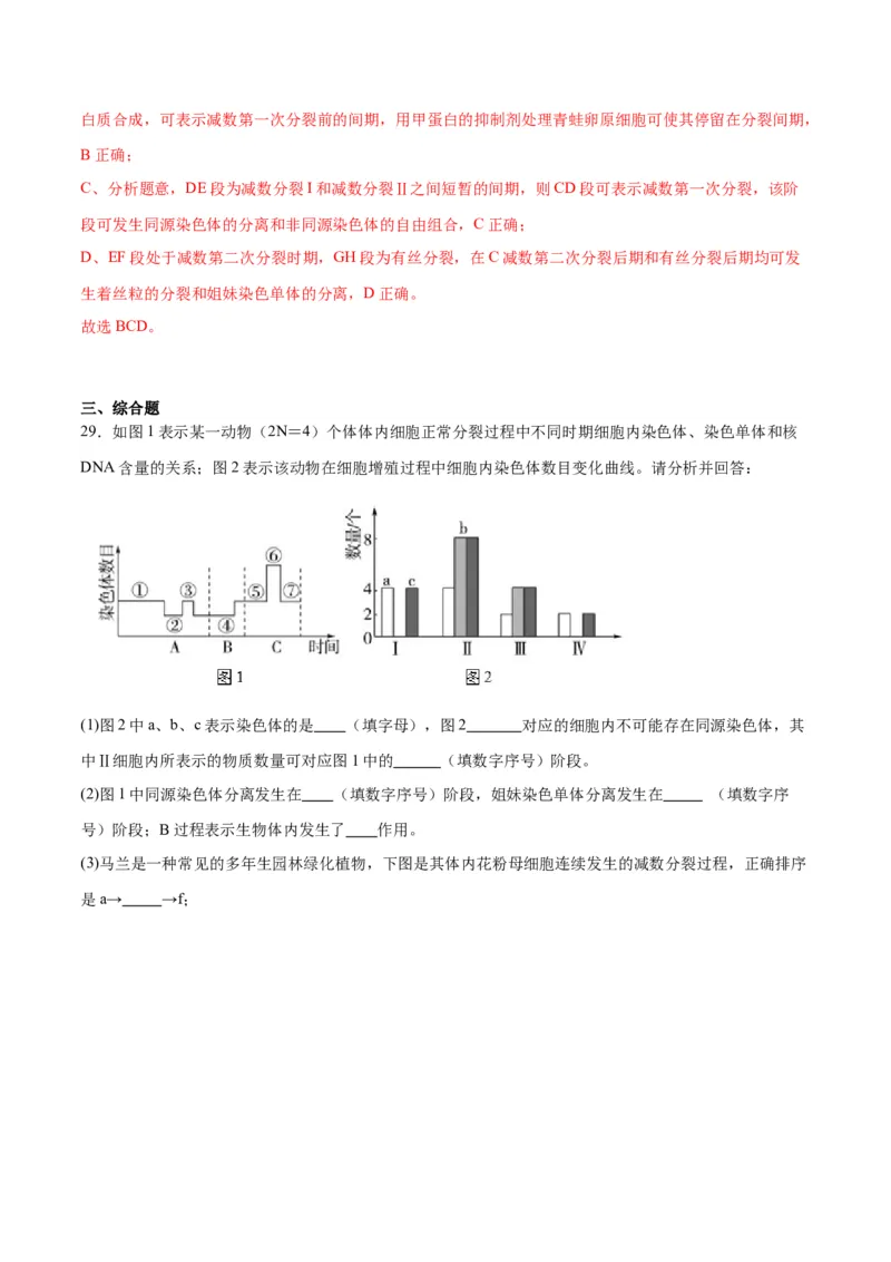专题13减数分裂和受精作用（解析版)_2024年新高考资料_3.2024专项复习_备战2024年高考生物一轮复习重难点专项突破_专题13减数分裂和受精作用