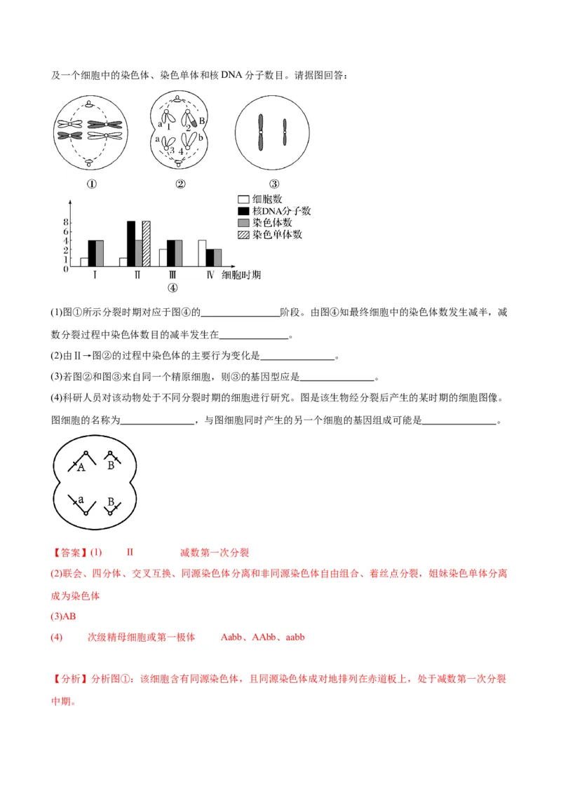 专题13减数分裂和受精作用（解析版)_2024年新高考资料_3.2024专项复习_备战2024年高考生物一轮复习重难点专项突破_专题13减数分裂和受精作用