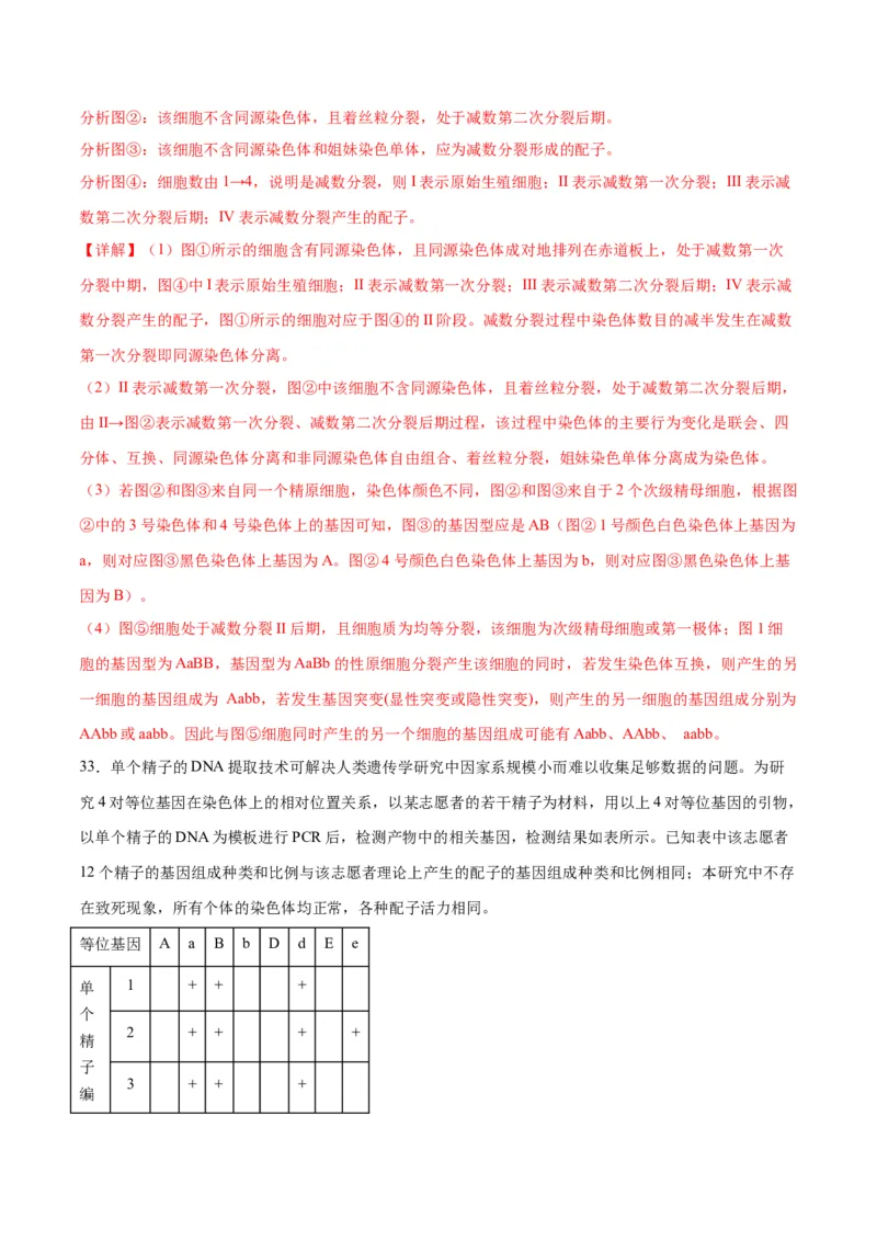 专题13减数分裂和受精作用（解析版)_2024年新高考资料_3.2024专项复习_备战2024年高考生物一轮复习重难点专项突破_专题13减数分裂和受精作用