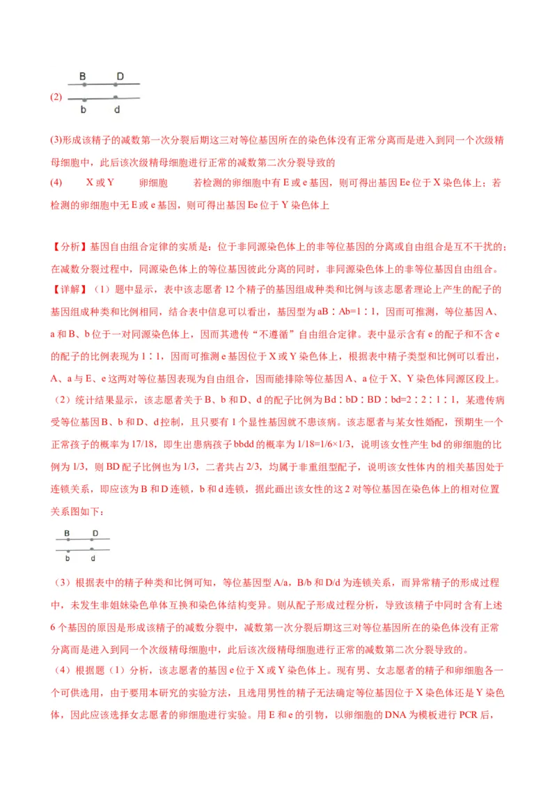 专题13减数分裂和受精作用（解析版)_2024年新高考资料_3.2024专项复习_备战2024年高考生物一轮复习重难点专项突破_专题13减数分裂和受精作用