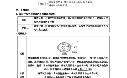 专题13减数分裂和受精作用（解析版)_2024年新高考资料_3.2024专项复习_备战2024年高考生物一轮复习重难点专项突破_专题13减数分裂和受精作用