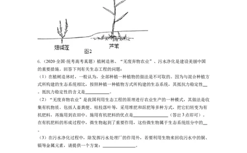 专题34生态工程（串讲）（原卷版）_2024年新高考资料_1.2024一轮复习_备战2024年高考生物一轮复习串讲精练（新高考专用）