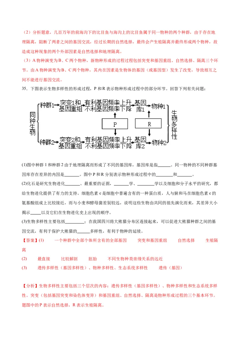 专题24生物的进化（解析版)_2024年新高考资料_3.2024专项复习_备战2024年高考生物一轮复习重难点专项突破_专题24生物的进化-备战2024年高考生物一轮复习重难点专项突破