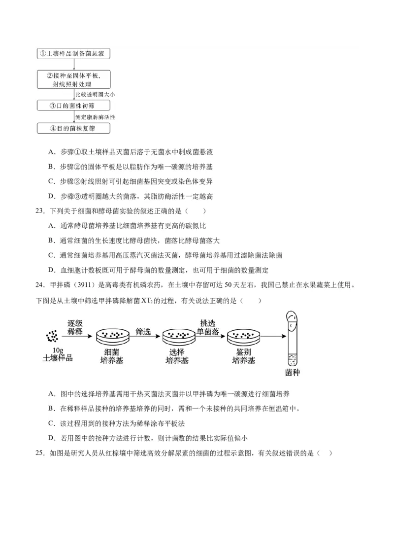 专题39微生物的培养技术和应用（原卷版）_2024年新高考资料_3.2024专项复习_备战2024年高考生物一轮复习重难点专项突破