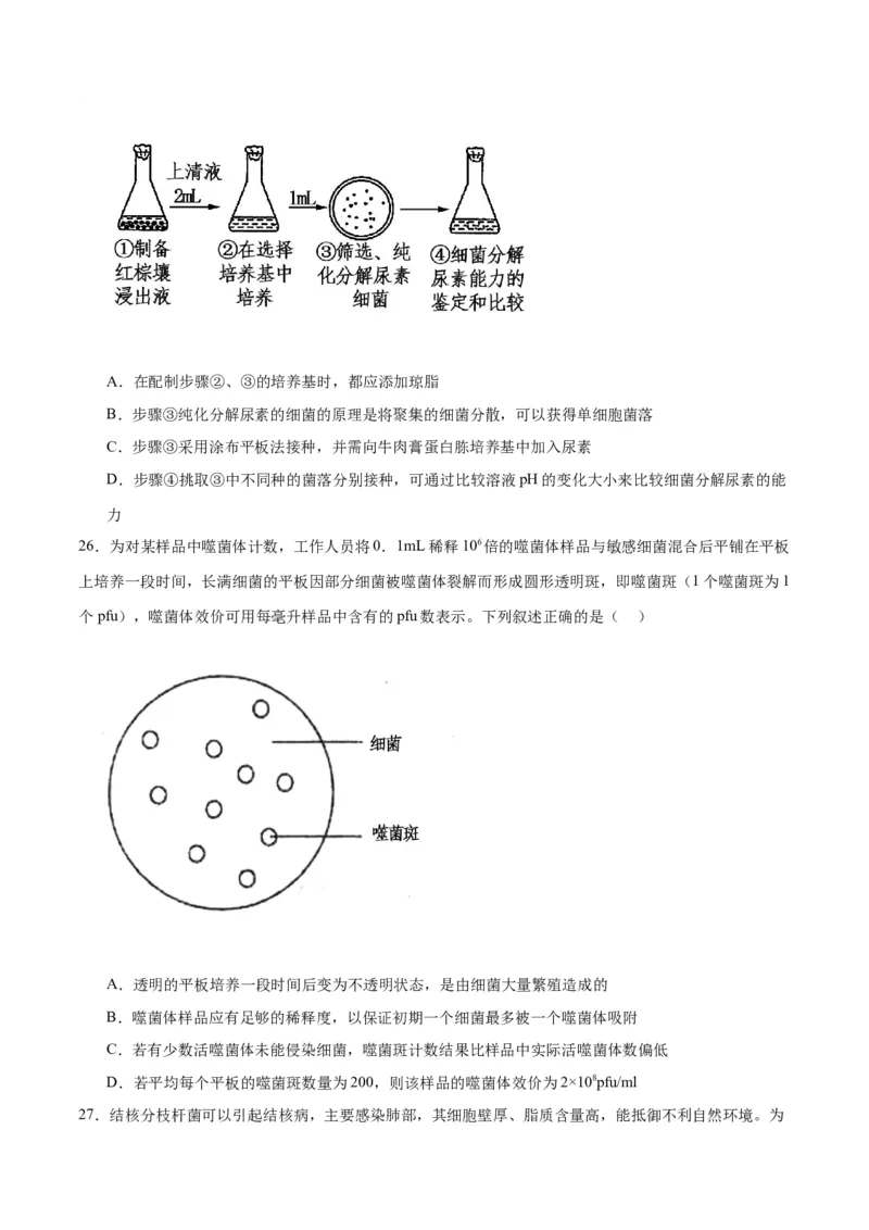 专题39微生物的培养技术和应用（原卷版）_2024年新高考资料_3.2024专项复习_备战2024年高考生物一轮复习重难点专项突破