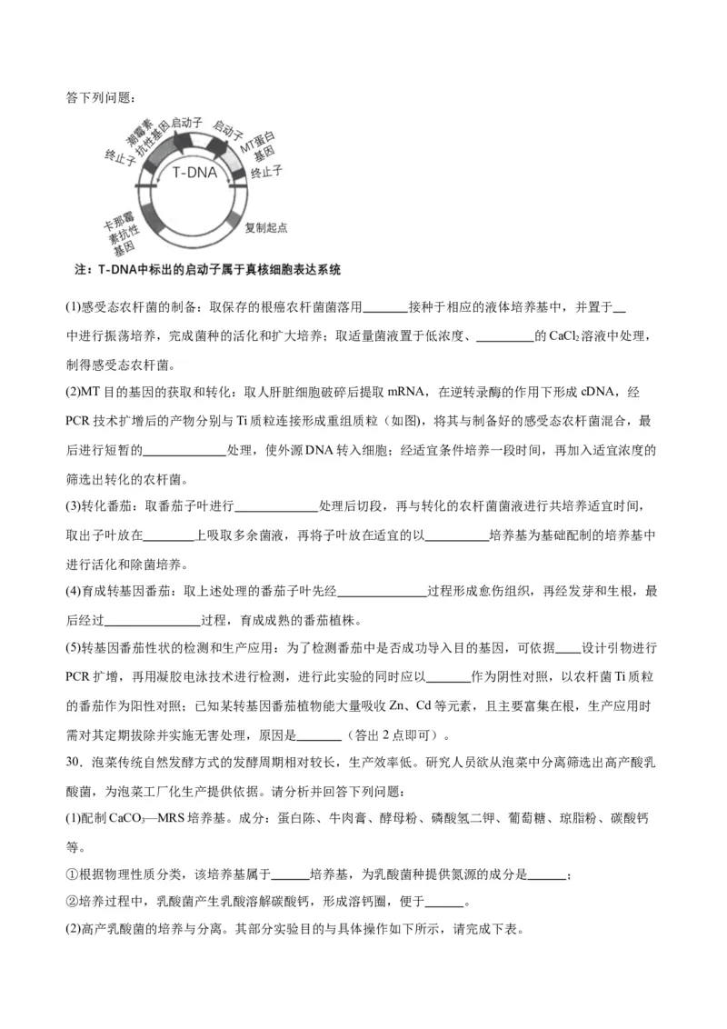 专题39微生物的培养技术和应用（原卷版）_2024年新高考资料_3.2024专项复习_备战2024年高考生物一轮复习重难点专项突破