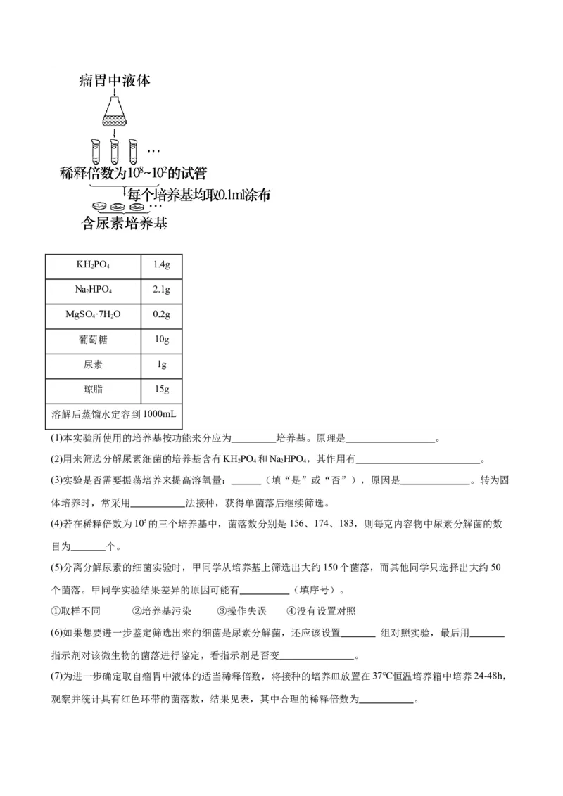 专题39微生物的培养技术和应用（原卷版）_2024年新高考资料_3.2024专项复习_备战2024年高考生物一轮复习重难点专项突破