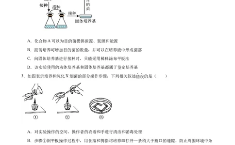 专题39微生物的培养技术和应用（原卷版）_2024年新高考资料_3.2024专项复习_备战2024年高考生物一轮复习重难点专项突破