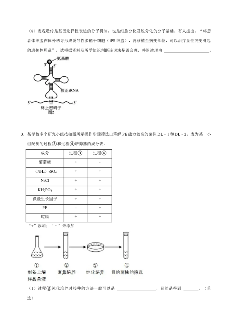 专题09生物技术与工程（原卷版）_2024年新高考资料_3.2024专项复习_2024年高考生物热点&middot;重点&middot;难点专练（上海专用）