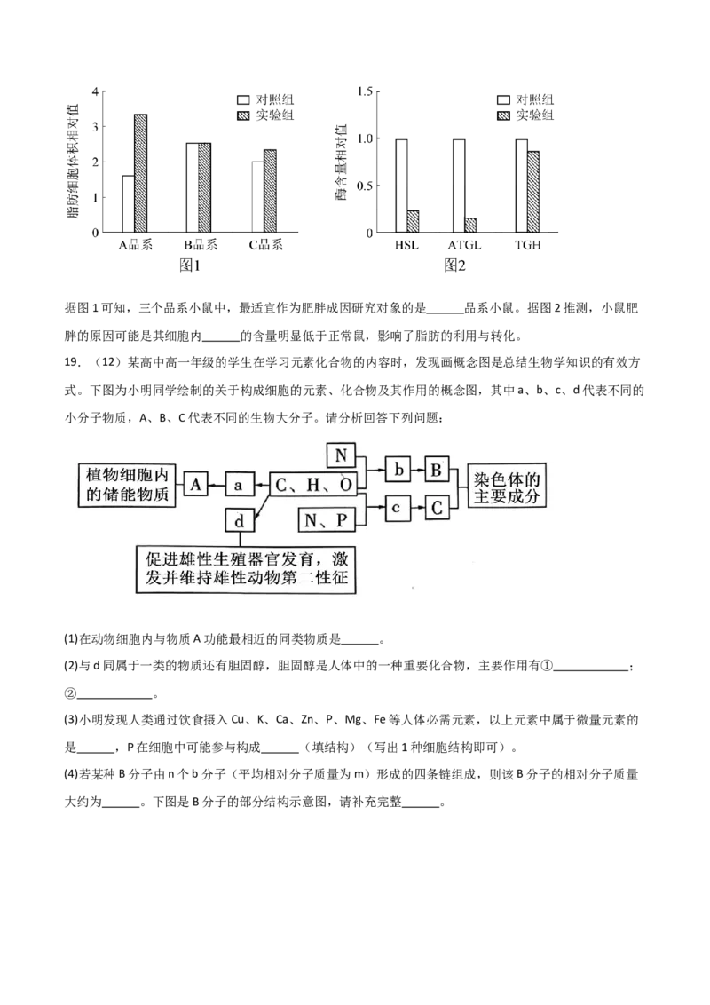 单元检测卷01细胞的概述及其组成分子（原卷版）_2024年新高考资料_1.2024一轮复习_2024年高考生物一轮复习考点通关卷（新高考通用）