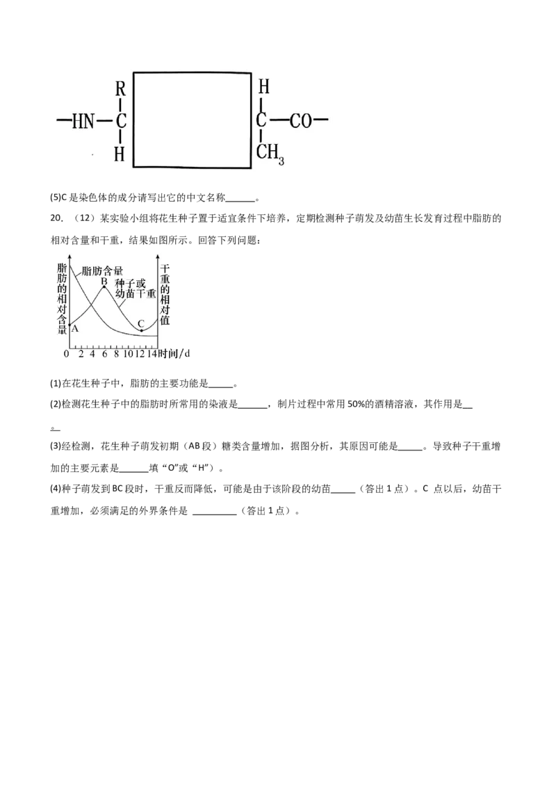 单元检测卷01细胞的概述及其组成分子（原卷版）_2024年新高考资料_1.2024一轮复习_2024年高考生物一轮复习考点通关卷（新高考通用）