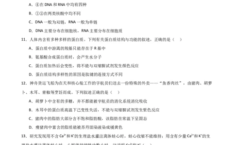 单元检测卷01细胞的概述及其组成分子（原卷版）_2024年新高考资料_1.2024一轮复习_2024年高考生物一轮复习考点通关卷（新高考通用）