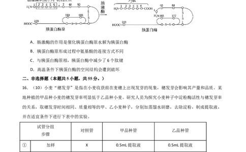 单元检测卷01细胞的概述及其组成分子（原卷版）_2024年新高考资料_1.2024一轮复习_2024年高考生物一轮复习考点通关卷（新高考通用）
