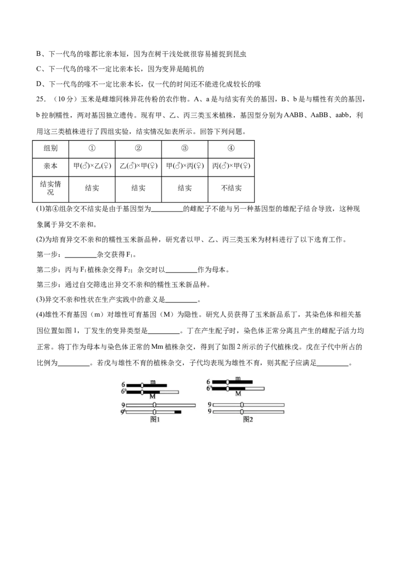 专题五遗传的分子基础、变异和进化（测试）（原卷版）_2024年新高考资料_2.2024二轮复习_2024年高考生物二轮复习讲练测（新教材新高考）