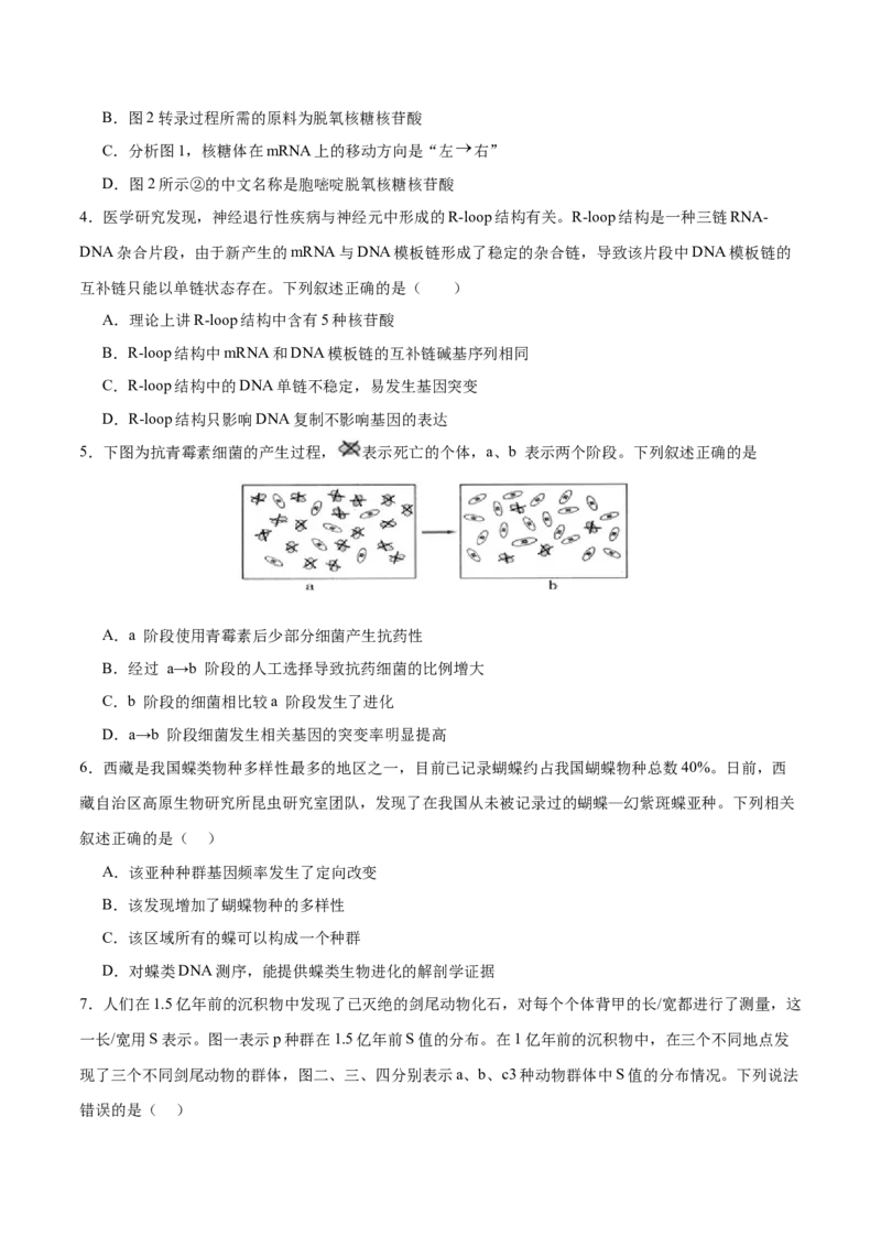 专题五遗传的分子基础、变异和进化（测试）（原卷版）_2024年新高考资料_2.2024二轮复习_2024年高考生物二轮复习讲练测（新教材新高考）