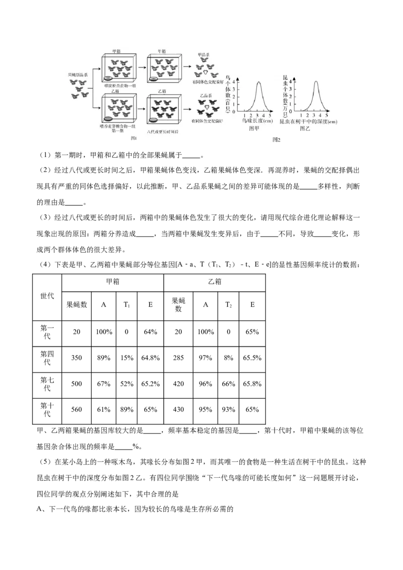 专题五遗传的分子基础、变异和进化（测试）（原卷版）_2024年新高考资料_2.2024二轮复习_2024年高考生物二轮复习讲练测（新教材新高考）