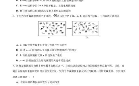 专题五遗传的分子基础、变异和进化（测试）（原卷版）_2024年新高考资料_2.2024二轮复习_2024年高考生物二轮复习讲练测（新教材新高考）