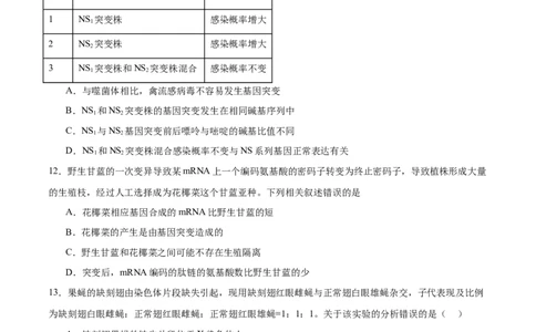 专题五遗传的分子基础、变异和进化（测试）（原卷版）_2024年新高考资料_2.2024二轮复习_2024年高考生物二轮复习讲练测（新教材新高考）