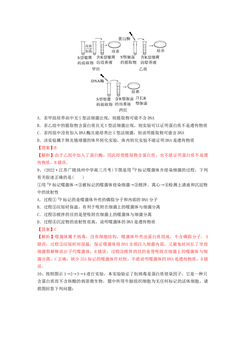 专题17DNA是主要的遗传物质（精练）（解析版）_2024年新高考资料_1.2024一轮复习_备战2024年高考生物一轮复习串讲精练（新高考专用）