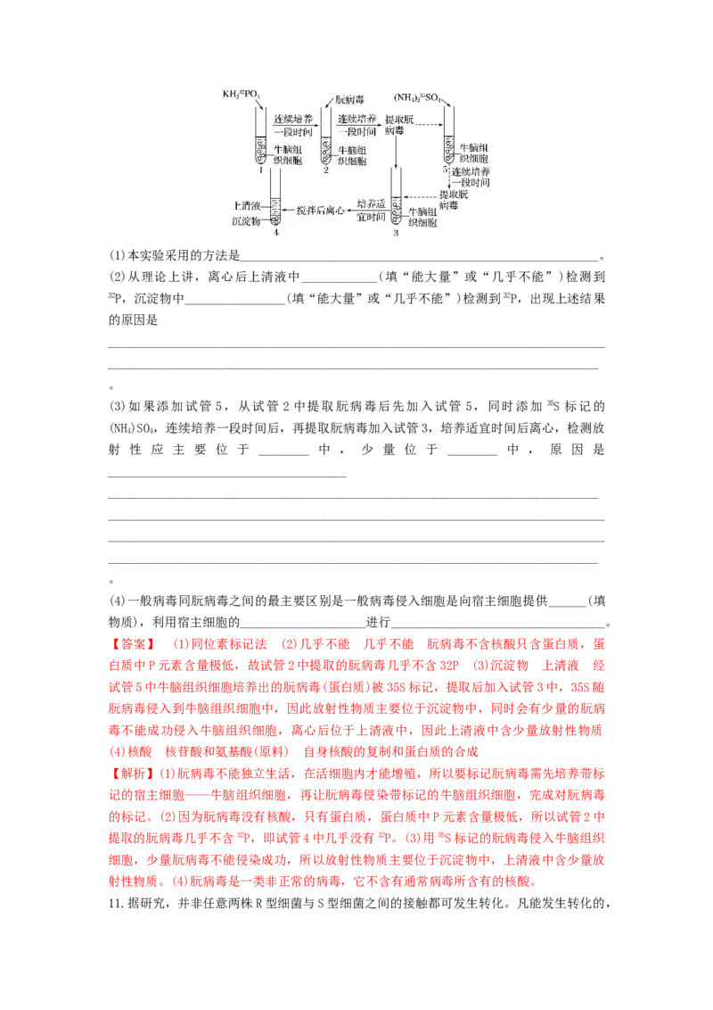 专题17DNA是主要的遗传物质（精练）（解析版）_2024年新高考资料_1.2024一轮复习_备战2024年高考生物一轮复习串讲精练（新高考专用）