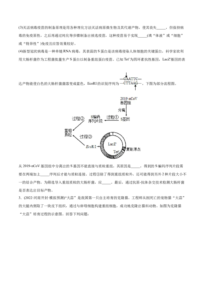 专题14生物技术与工程-2022年高考真题和模拟题生物分专题训练（学生版）_2024年新高考资料_1.2024一轮复习_赠2022年高考生物真题与模拟题分类