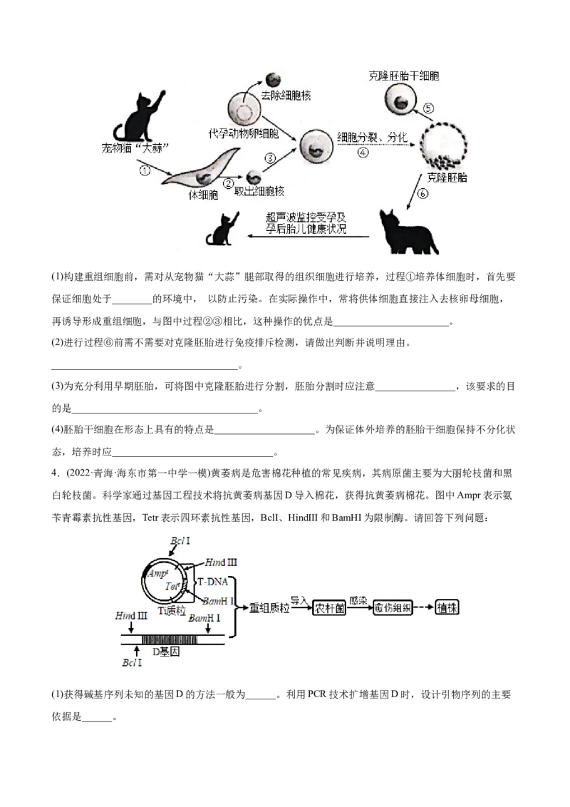 专题14生物技术与工程-2022年高考真题和模拟题生物分专题训练（学生版）_2024年新高考资料_1.2024一轮复习_赠2022年高考生物真题与模拟题分类