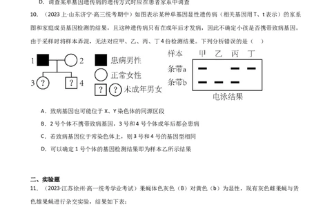 专题04遗传的基本规律和人类遗传病（限时检测卷）_2024年新高考资料_3.2024专项复习_2024年高考生物热点&middot;重点&middot;难点专练（新高考专用）
