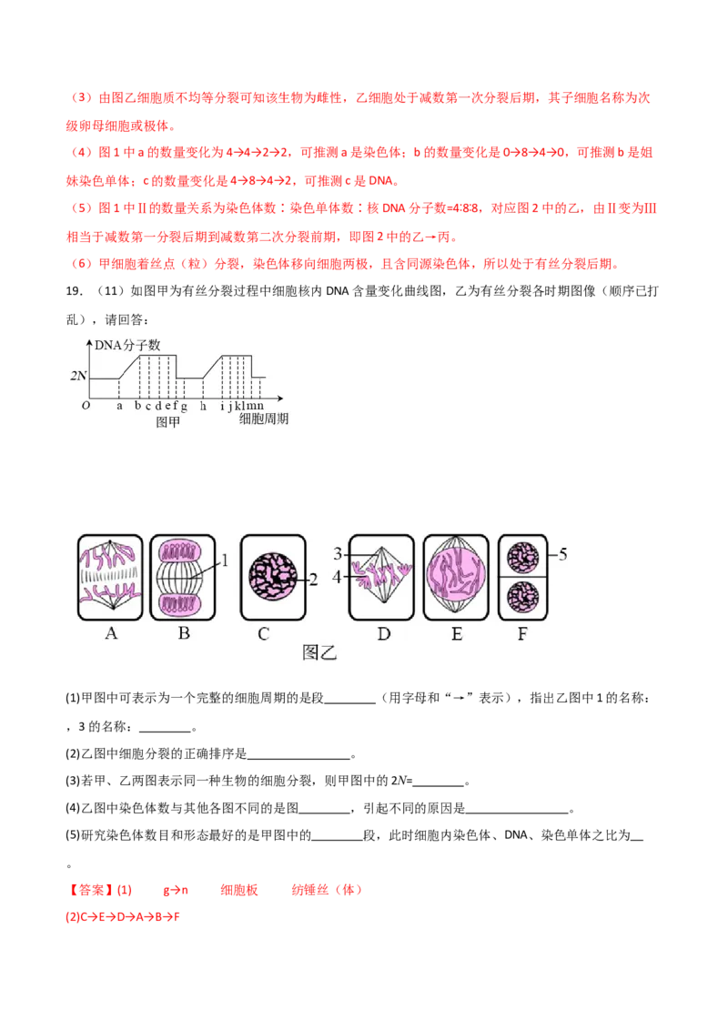 单元检测卷04细胞的生命历程（解析版）_2024年新高考资料_1.2024一轮复习_2024年高考生物一轮复习考点通关卷（新高考通用）