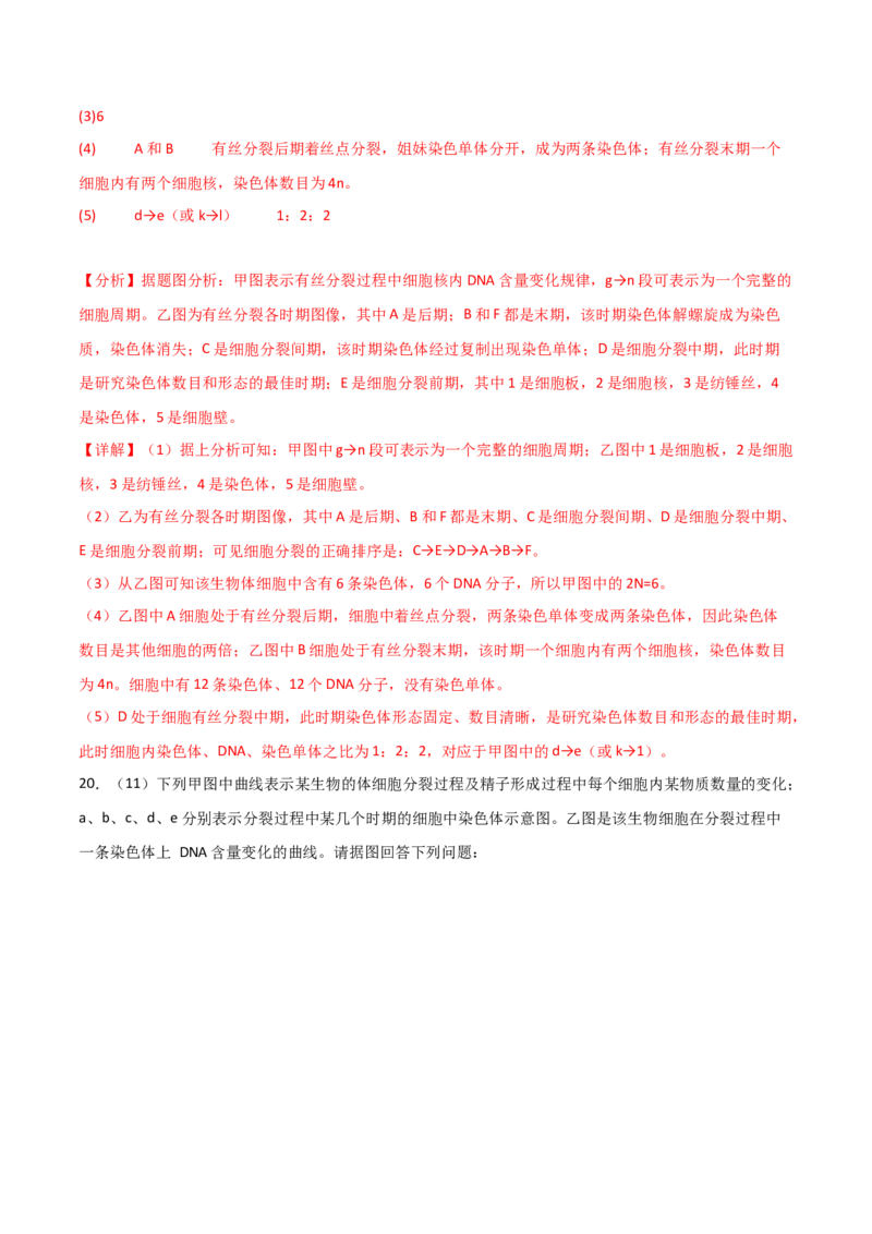 单元检测卷04细胞的生命历程（解析版）_2024年新高考资料_1.2024一轮复习_2024年高考生物一轮复习考点通关卷（新高考通用）