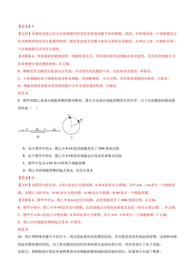 单元检测卷04细胞的生命历程（解析版）_2024年新高考资料_1.2024一轮复习_2024年高考生物一轮复习考点通关卷（新高考通用）