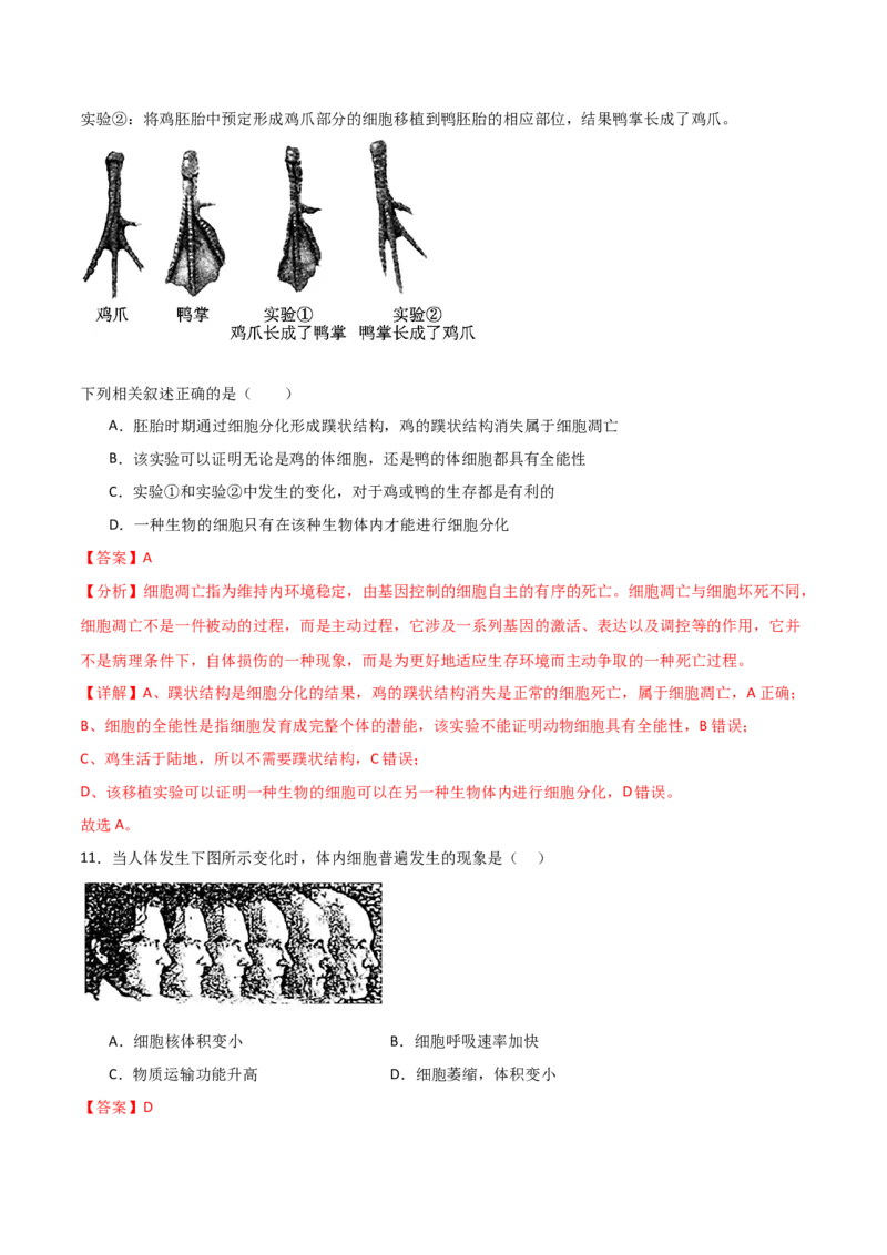 单元检测卷04细胞的生命历程（解析版）_2024年新高考资料_1.2024一轮复习_2024年高考生物一轮复习考点通关卷（新高考通用）