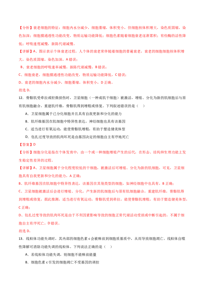单元检测卷04细胞的生命历程（解析版）_2024年新高考资料_1.2024一轮复习_2024年高考生物一轮复习考点通关卷（新高考通用）