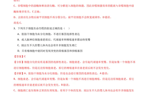 单元检测卷04细胞的生命历程（解析版）_2024年新高考资料_1.2024一轮复习_2024年高考生物一轮复习考点通关卷（新高考通用）