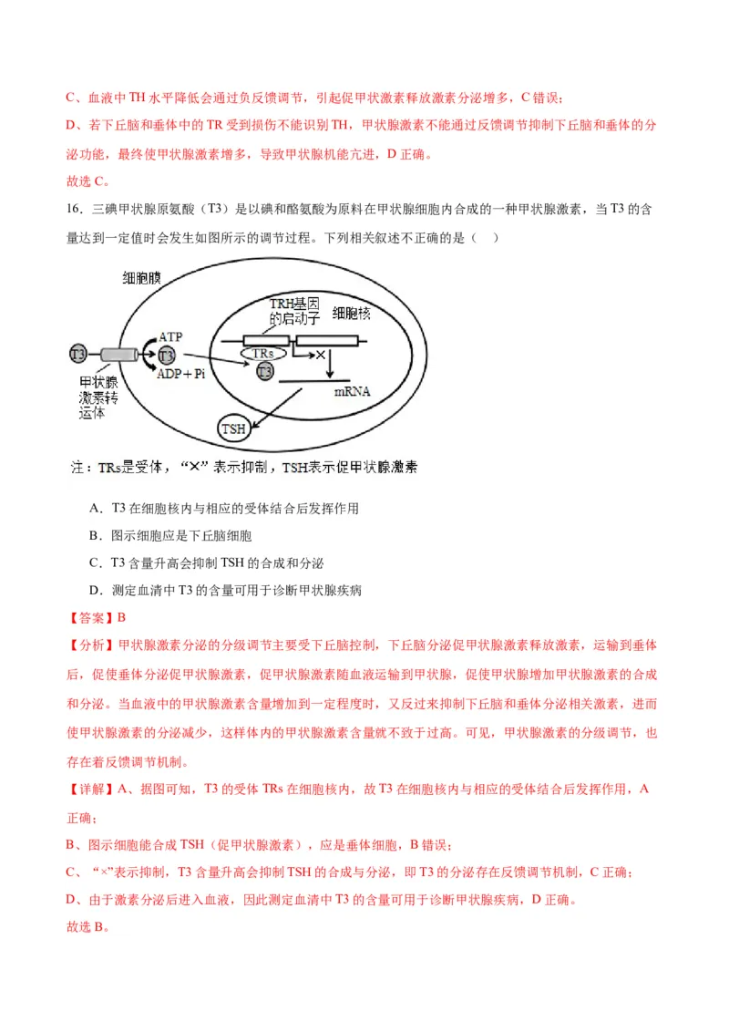 专题27体液调节（解析版)_2024年新高考资料_3.2024专项复习_备战2024年高考生物一轮复习重难点专项突破_专题27体液调节-备战2024年高考生物一轮复习重难点专项突破
