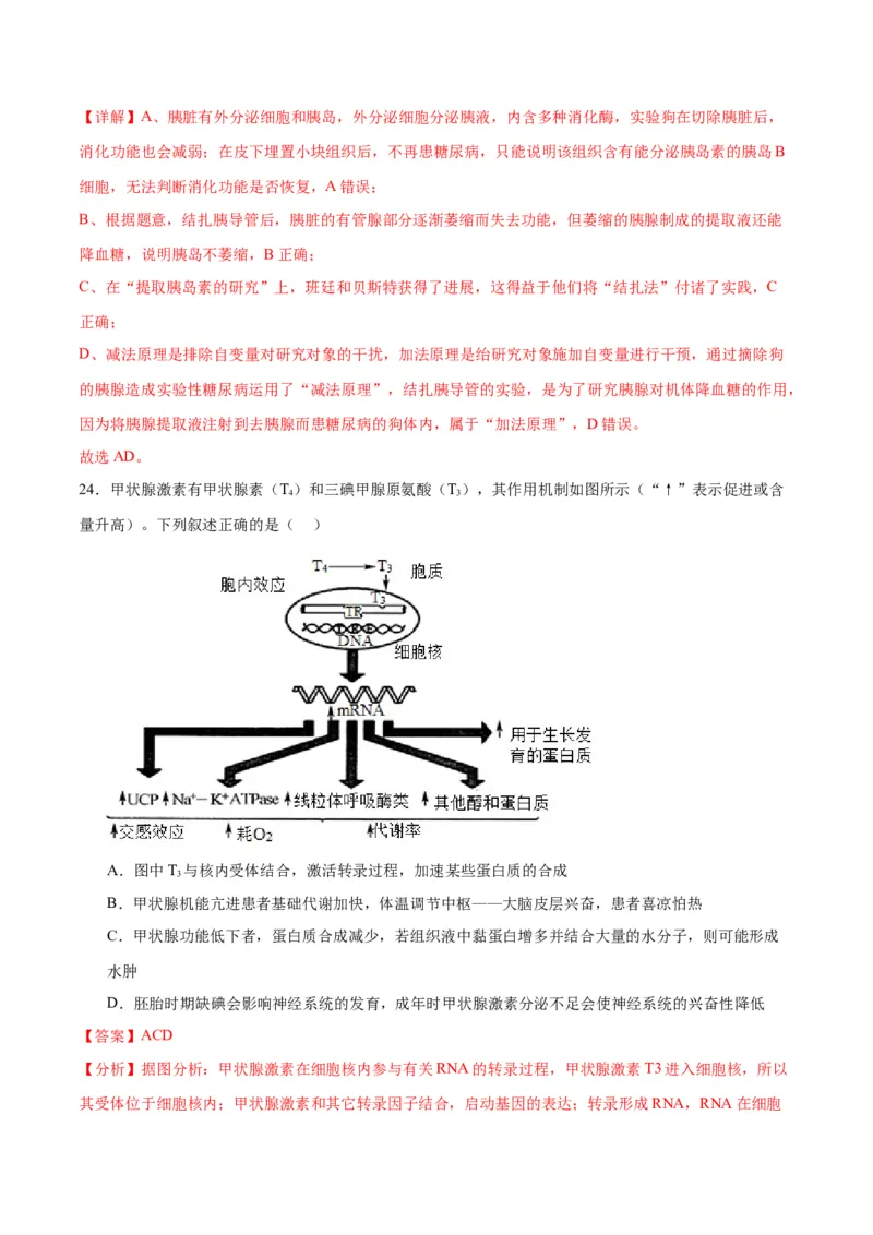 专题27体液调节（解析版)_2024年新高考资料_3.2024专项复习_备战2024年高考生物一轮复习重难点专项突破_专题27体液调节-备战2024年高考生物一轮复习重难点专项突破