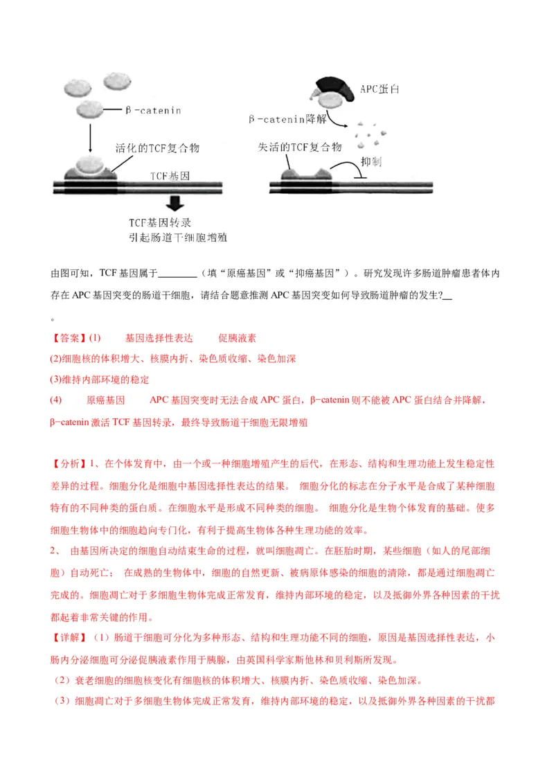 专题27体液调节（解析版)_2024年新高考资料_3.2024专项复习_备战2024年高考生物一轮复习重难点专项突破_专题27体液调节-备战2024年高考生物一轮复习重难点专项突破