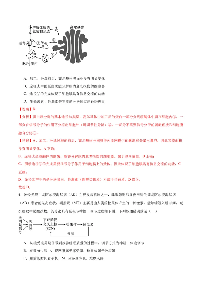 专题27体液调节（解析版)_2024年新高考资料_3.2024专项复习_备战2024年高考生物一轮复习重难点专项突破_专题27体液调节-备战2024年高考生物一轮复习重难点专项突破